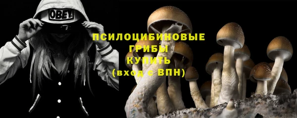 СК Заволжск