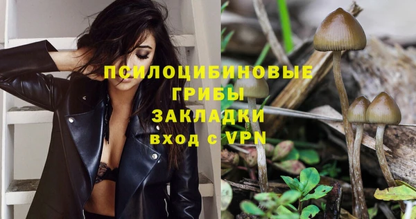 спиды Заводоуковск