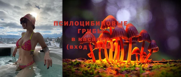 mdpv Заволжье