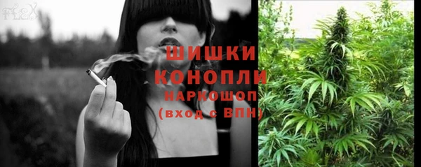 спиды Заводоуковск