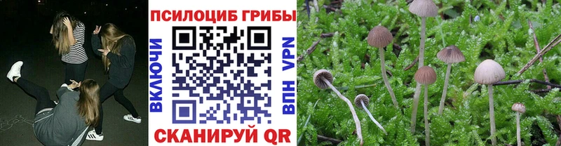 Псилоцибиновые грибы MAGIC MUSHROOMS  Купить  Заволжск 